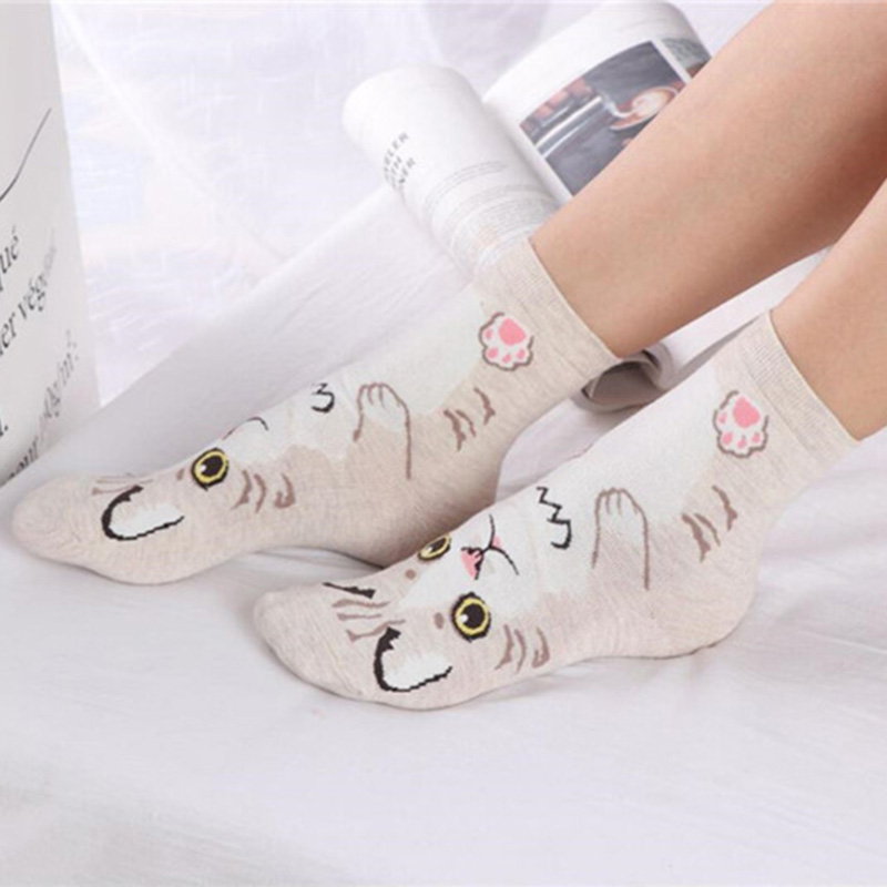 Paquete de 5 Pares de Calcetin - Cotton Crew Sock Pack reseña y precio
